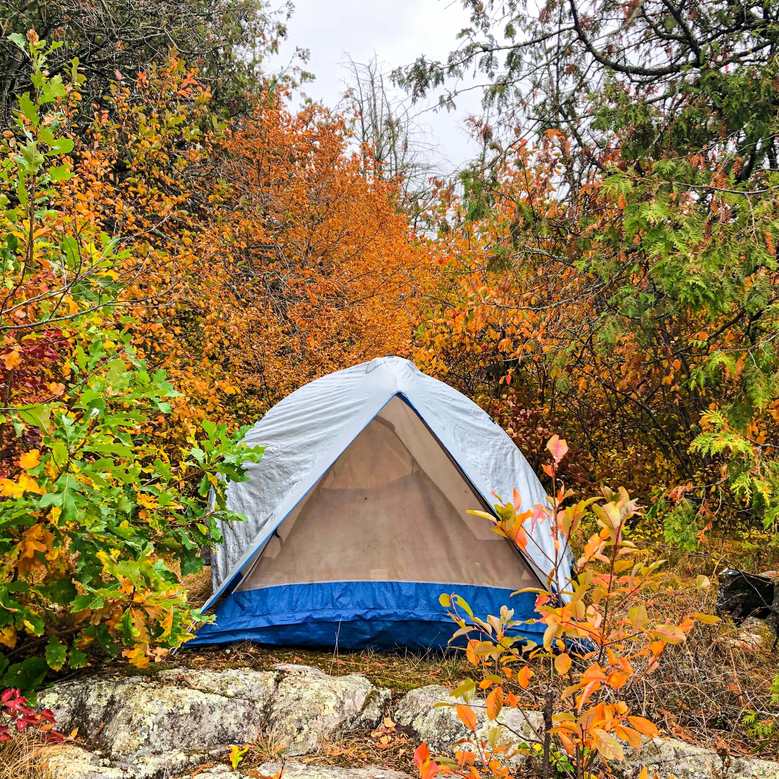 Cute Fall Date Ideas Lil Life Adventures cute-fall-date-ideas-lil-life-adventures